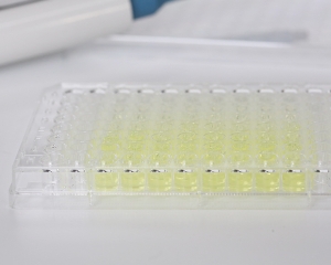 Quantitative Endotoxin Assay Solution For Bioproducts (3)